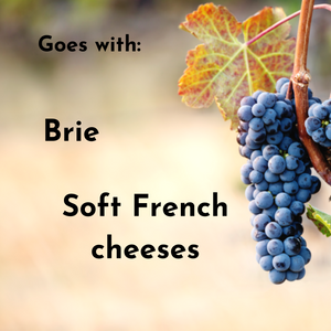 Bourgogne Pinot Noir - Patriarche - Burgundy, France - 2019